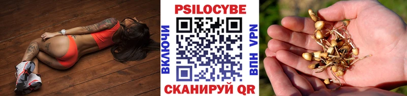 цена наркотик  Лосино-Петровский  Галлюциногенные грибы прущие грибы 