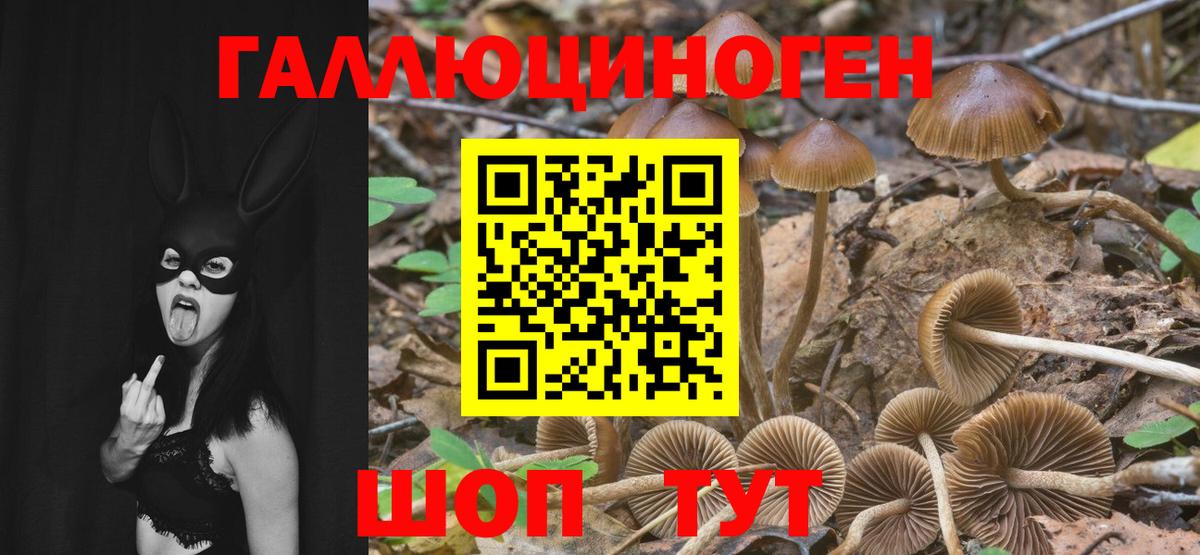 Галлюциногенные грибы Magic Shrooms  Вход с VPN  Лосино-Петровский  Галлюциногенные грибы мухоморы 